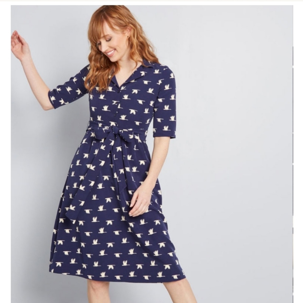 Exceeding Expectations Shirtdress (ModCloth)